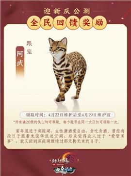 天龙八部私服合击英雄